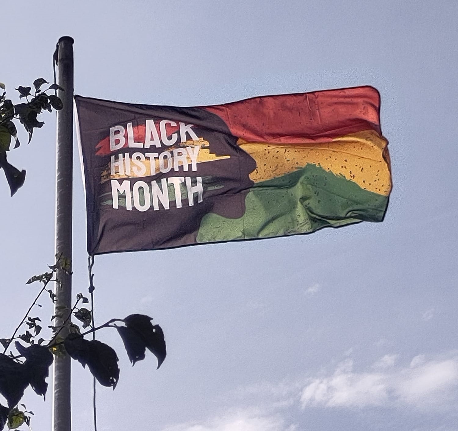 Flag BHM