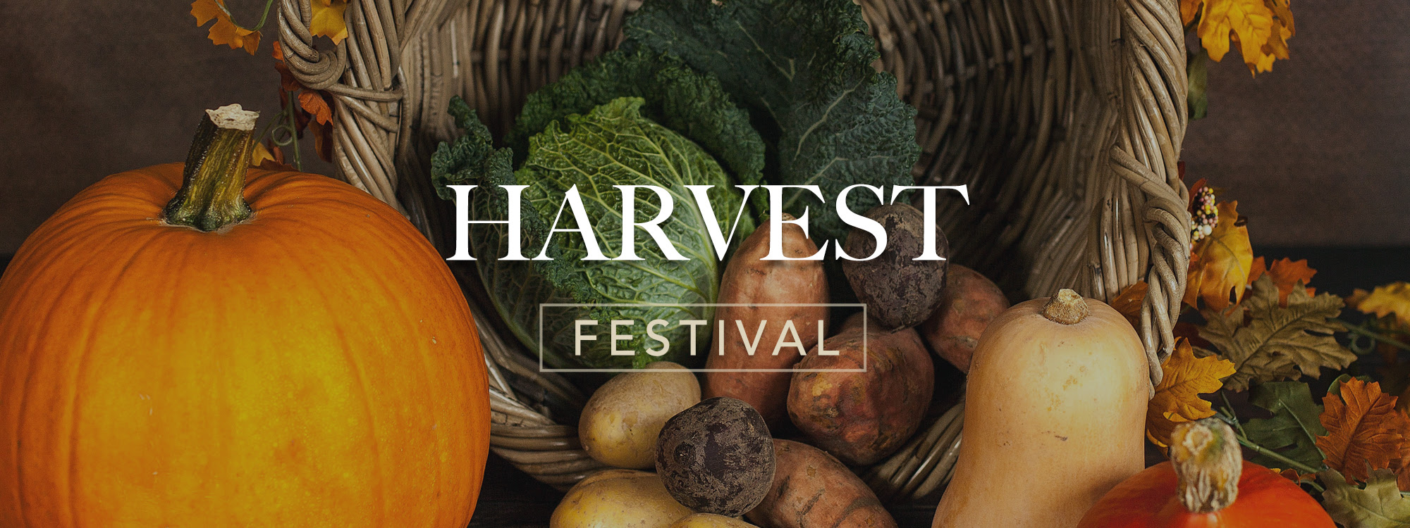 Harvest picture