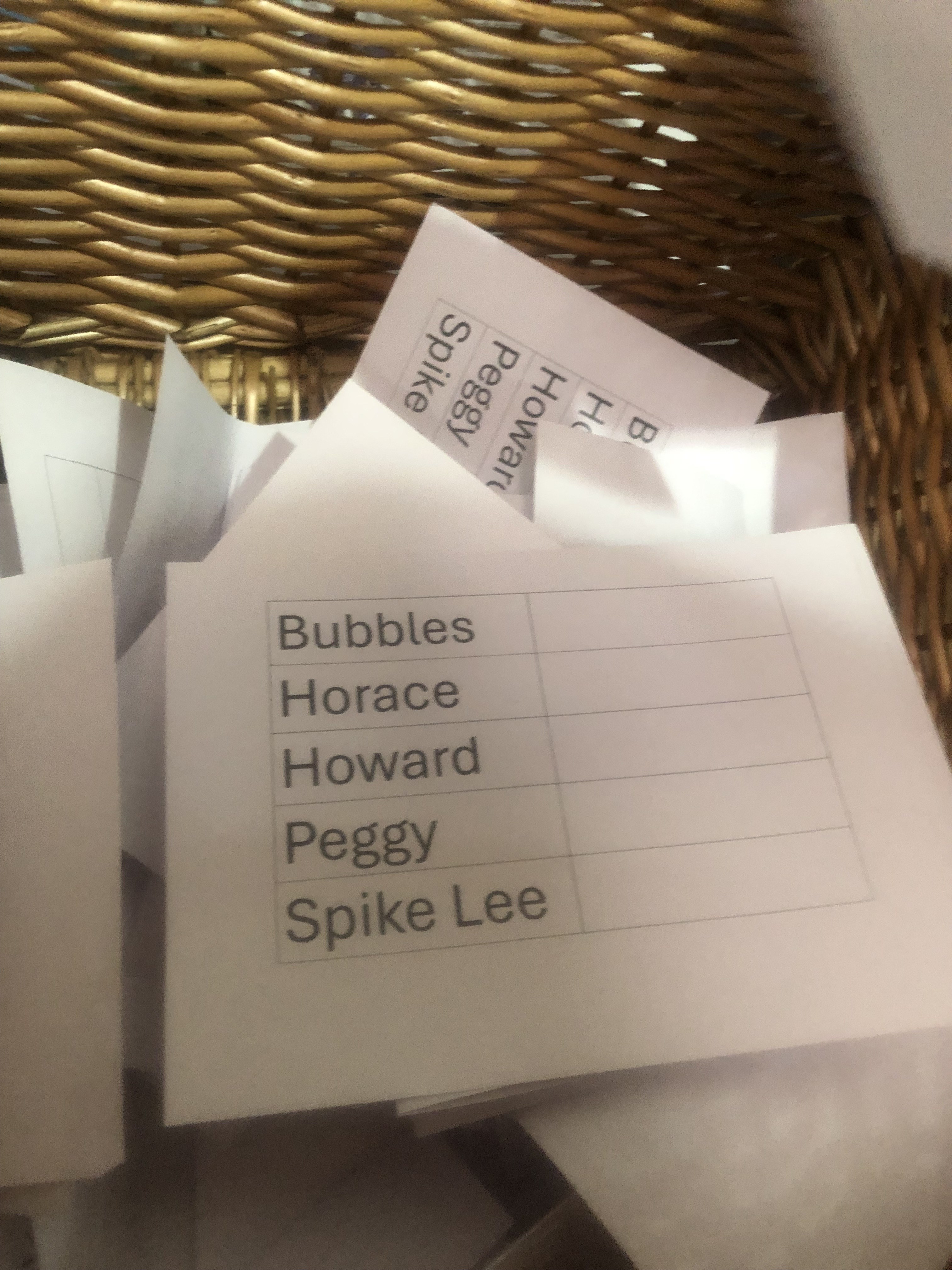 Voting commences to name our latest resident!